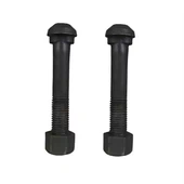 너트가있는 다이아몬드 헤드 볼트